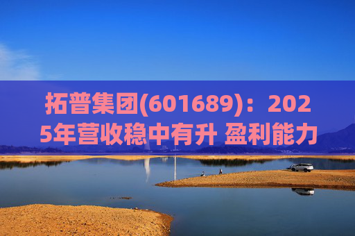 拓普集团(601689)：2025年营收稳中有升 盈利能力短期承压