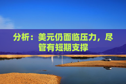 分析：美元仍面临压力，尽管有短期支撑  第1张