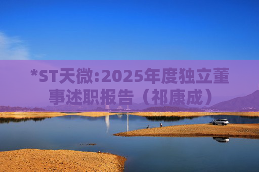 *ST天微:2025年度独立董事述职报告（祁康成）