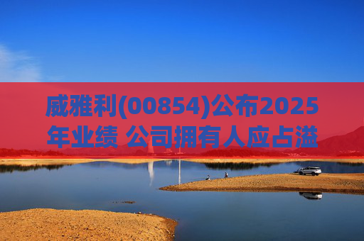 威雅利(00854)公布2025年业绩 公司拥有人应占溢利5095.8万港元