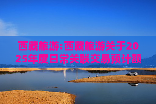 西藏旅游:西藏旅游关于2025年度日常关联交易预计额度的公告  第1张