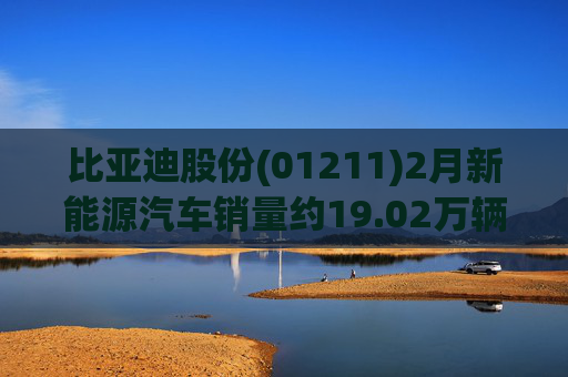 比亚迪股份(01211)2月新能源汽车销量约19.02万辆
