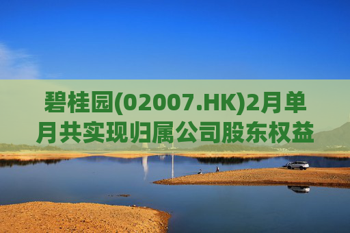 碧桂园(02007.HK)2月单月共实现归属公司股东权益合同销售金额约22.3亿元