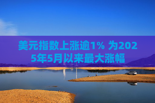 美元指数上涨逾1% 为2025年5月以来最大涨幅