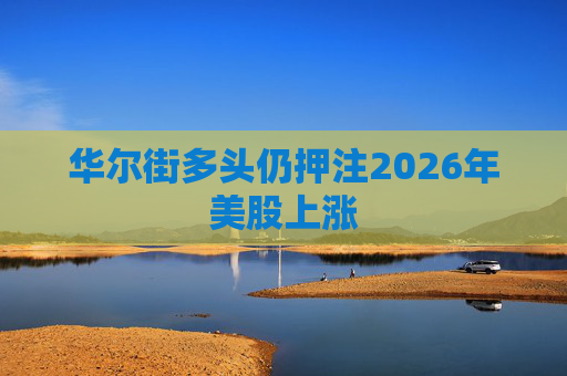 华尔街多头仍押注2026年美股上涨