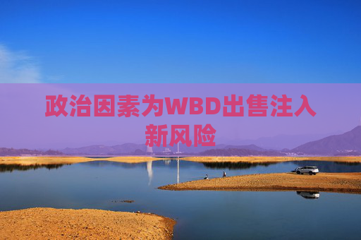 政治因素为WBD出售注入新风险