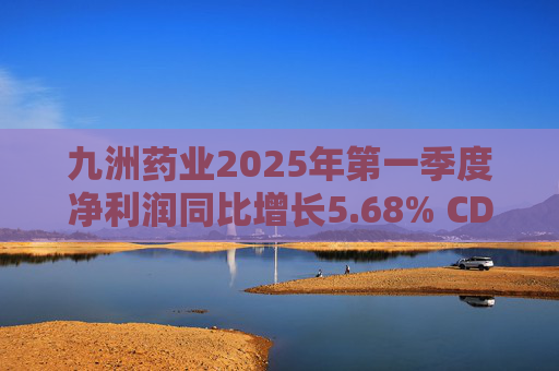 九洲药业2025年第一季度净利润同比增长5.68% CDMO业务稳步提升  第1张