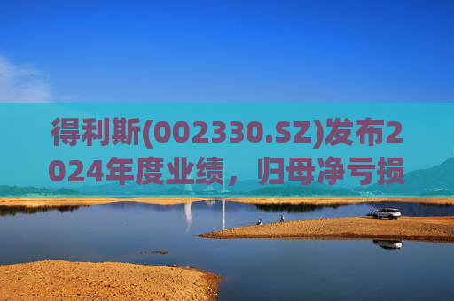 得利斯(002330.SZ)发布2024年度业绩，归母净亏损3367万元