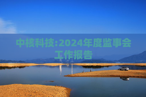 中核科技:2024年度监事会工作报告