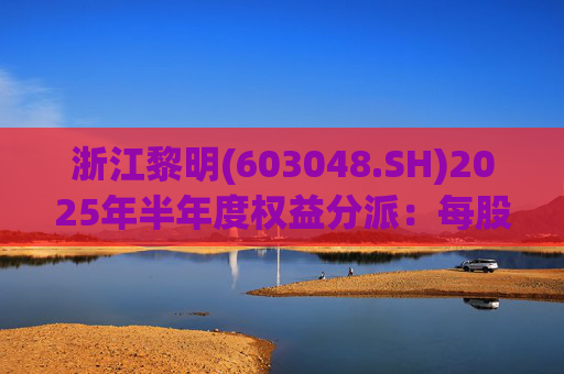浙江黎明(603048.SH)2025年半年度权益分派：每股拟派利0.07元  第1张