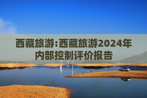 西藏旅游:西藏旅游2024年内部控制评价报告