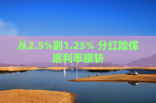 从2.5%到1.25% 分红险保底利率腰斩