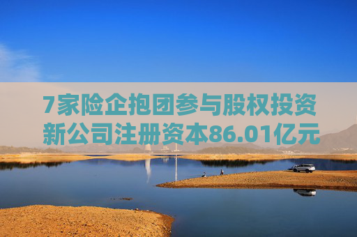 7家险企抱团参与股权投资 新公司注册资本86.01亿元