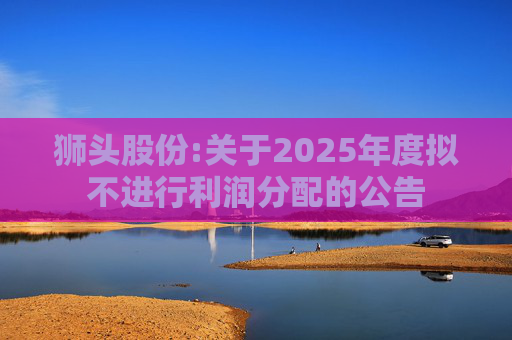 狮头股份:关于2025年度拟不进行利润分配的公告