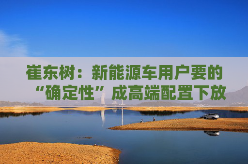 崔东树：新能源车用户要的“确定性”成高端配置下放关键