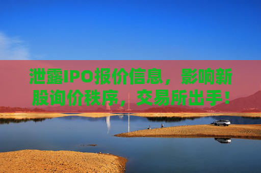 泄露IPO报价信息，影响新股询价秩序，交易所出手！