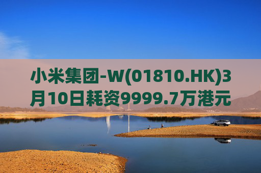 小米集团-W(01810.HK)3月10日耗资9999.7万港元回购297.7万股