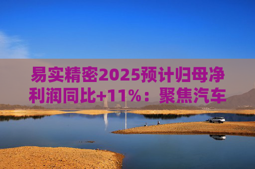 易实精密2025预计归母净利润同比+11%：聚焦汽车精密金属零部件研发销售，设立+增资子公司推进海外布局