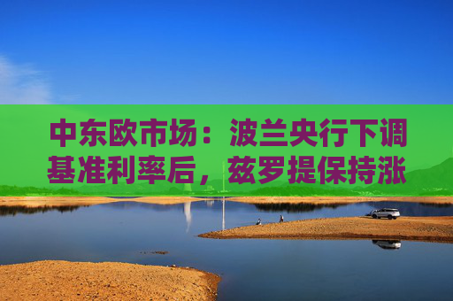 中东欧市场:波兰央行下调基准利率后,兹罗提保持涨势