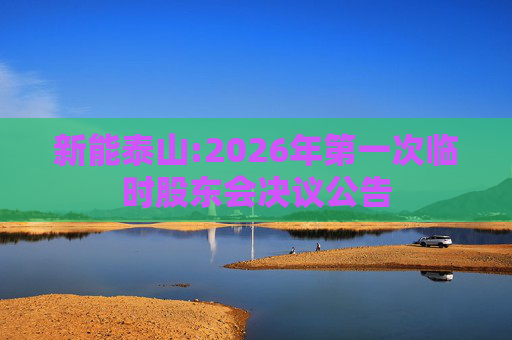新能泰山:2026年第一次临时股东会决议公告