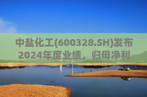 中盐化工(600328.SH)发布2024年度业绩，归母净利润5.19亿元，同比下降56.32%