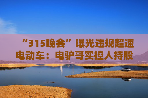 “315晚会”曝光违规超速电动车：电驴哥实控人持股公司经营异常，黑骑士去年变更股东