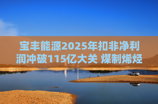 宝丰能源2025年扣非净利润冲破115亿大关 煤制烯烃龙头迎高光时刻