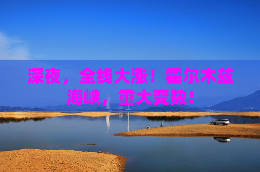 深夜，全线大涨！霍尔木兹海峡，重大变数！