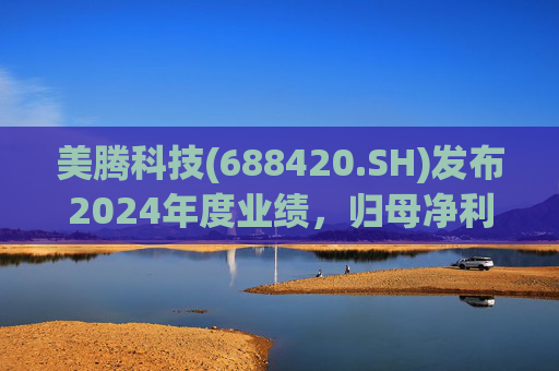 美腾科技(688420.SH)发布2024年度业绩，归母净利润4068万元，同比下降45.21%  第1张