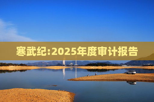 寒武纪:2025年度审计报告