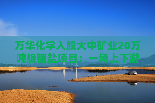 万华化学入股大中矿业20万吨级锂盐项目：一场上下游龙头的战略合围