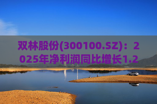 双林股份(300100.SZ):2025年净利润同比增长1.25% 拟10股派1元