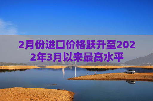 2月份进口价格跃升至2022年3月以来最高水平