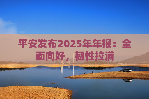 平安发布2025年年报：全面向好，韧性拉满