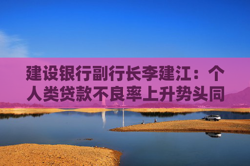 建设银行副行长李建江：个人类贷款不良率上升势头同比收窄，有希望、有把握保持资产质量稳定