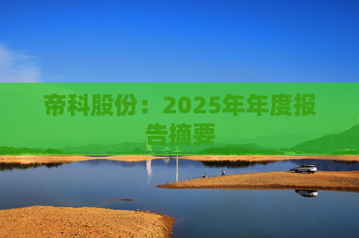 帝科股份：2025年年度报告摘要