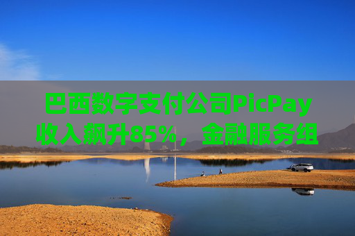 巴西数字支付公司PicPay收入飙升85%，金融服务组合持续扩大