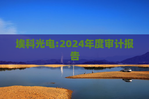 埃科光电:2024年度审计报告