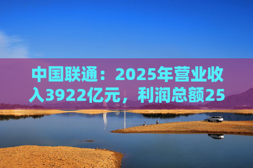 中国联通：2025年营业收入3922亿元，利润总额253亿元