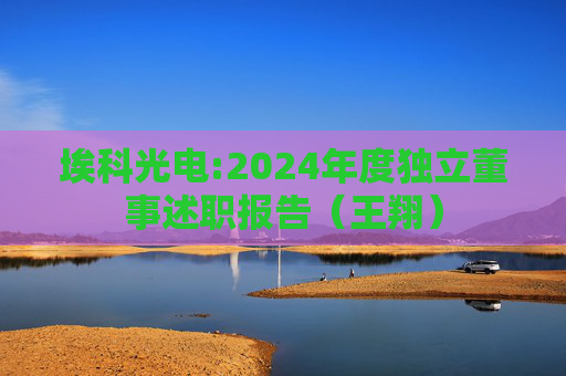 埃科光电:2024年度独立董事述职报告（王翔）  第1张