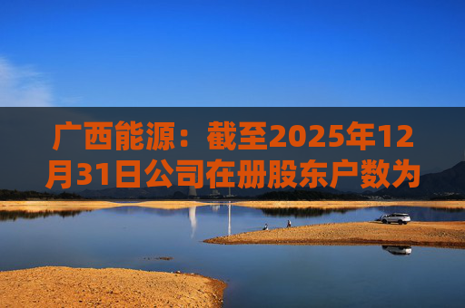 广西能源:截至2025年12月31日公司在册股东户数为53413户