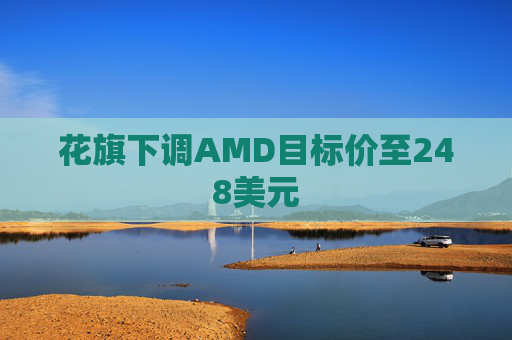 花旗下调AMD目标价至248美元