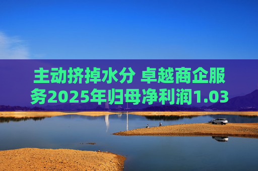 主动挤掉水分 卓越商企服务2025年归母净利润1.03亿元