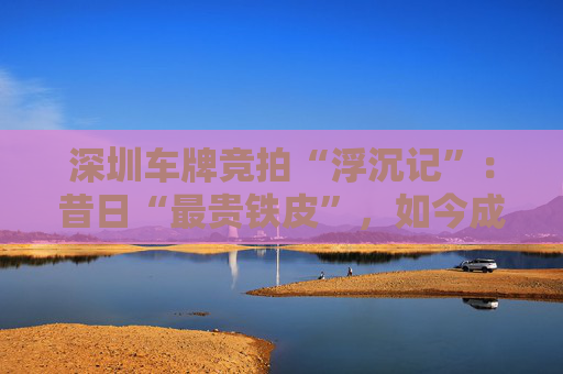 深圳车牌竞拍“浮沉记”:昔日“最贵铁皮”,如今成交价持续走低