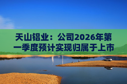 天山铝业:公司2026年第一季度预计实现归属于上市公司股东的净利润220000万元