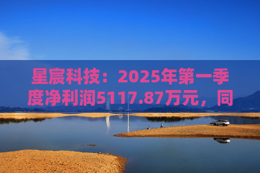 星宸科技：2025年第一季度净利润5117.87万元，同比增长0.48%  第1张