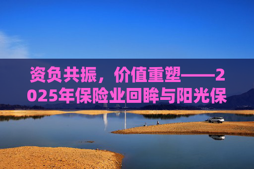资负共振，价值重塑――2025年保险业回眸与阳光保险样本