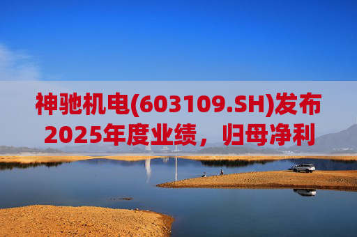 神驰机电(603109.SH)发布2025年度业绩，归母净利润1.34亿元，同比下降30.94%