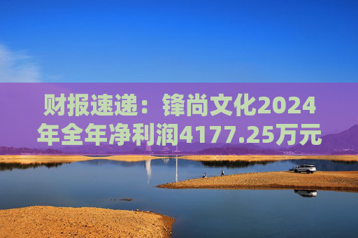 财报速递：锋尚文化2024年全年净利润4177.25万元  第1张