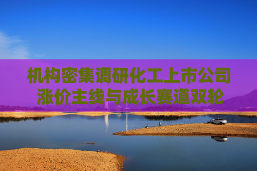 机构密集调研化工上市公司 涨价主线与成长赛道双轮驱动